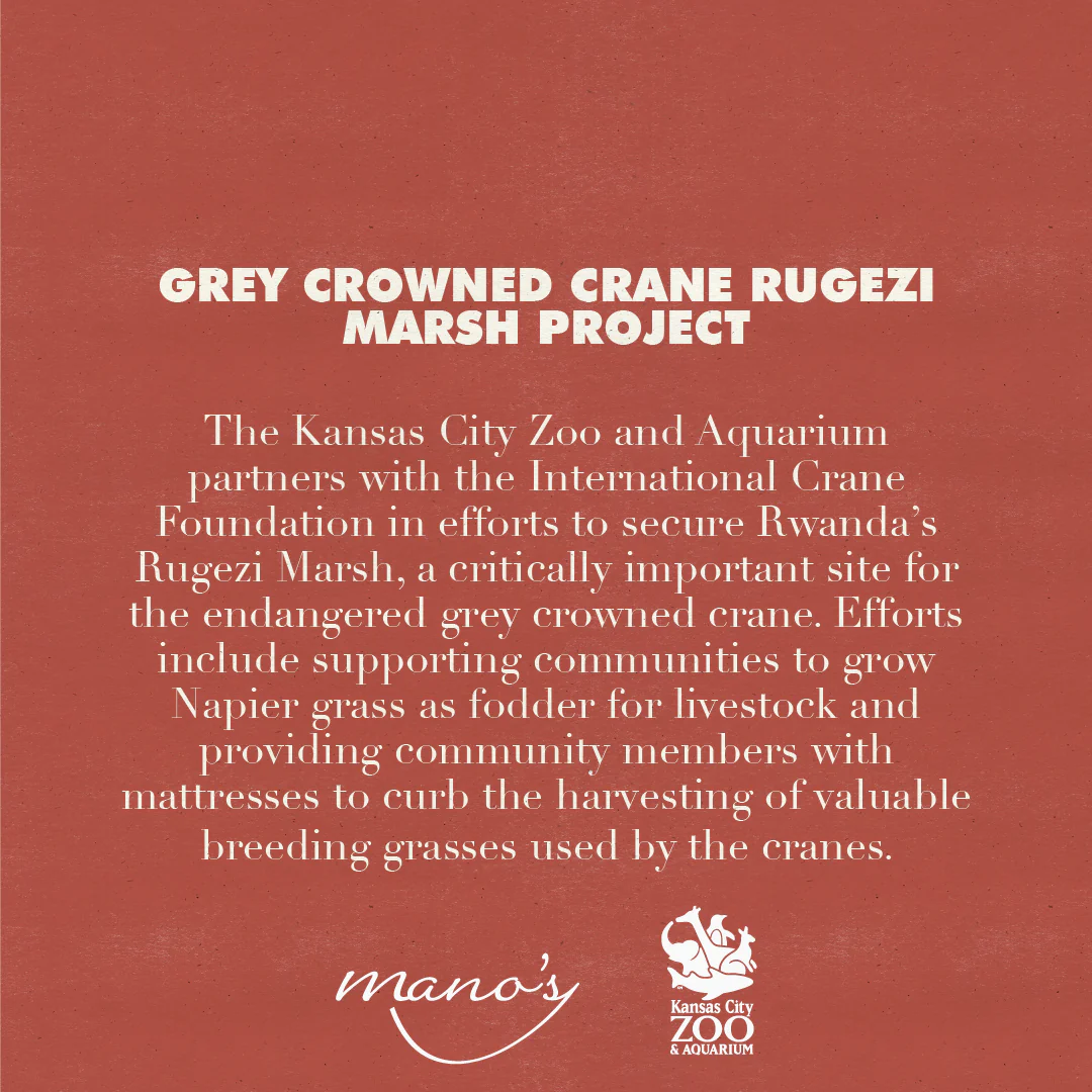 Grey Crowned Crane Sweet Rosé Wine - Image 2