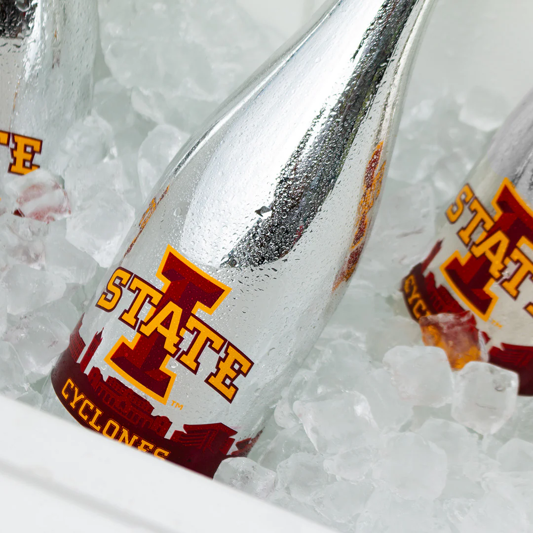 Iowa State University Skyline Metallic Silver Bubbly - Image 4