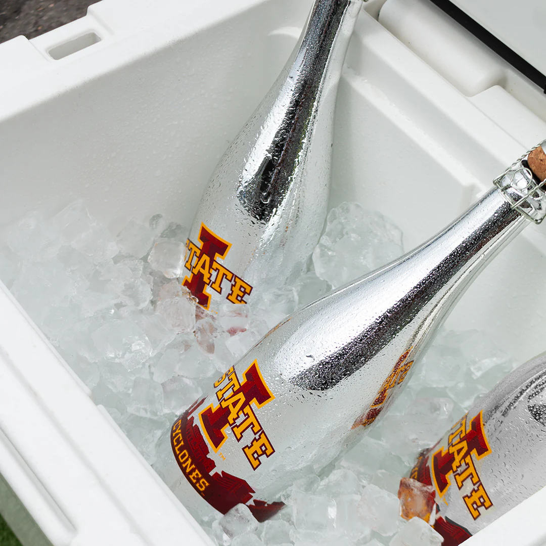 Iowa State University Skyline Metallic Silver Bubbly - Image 6