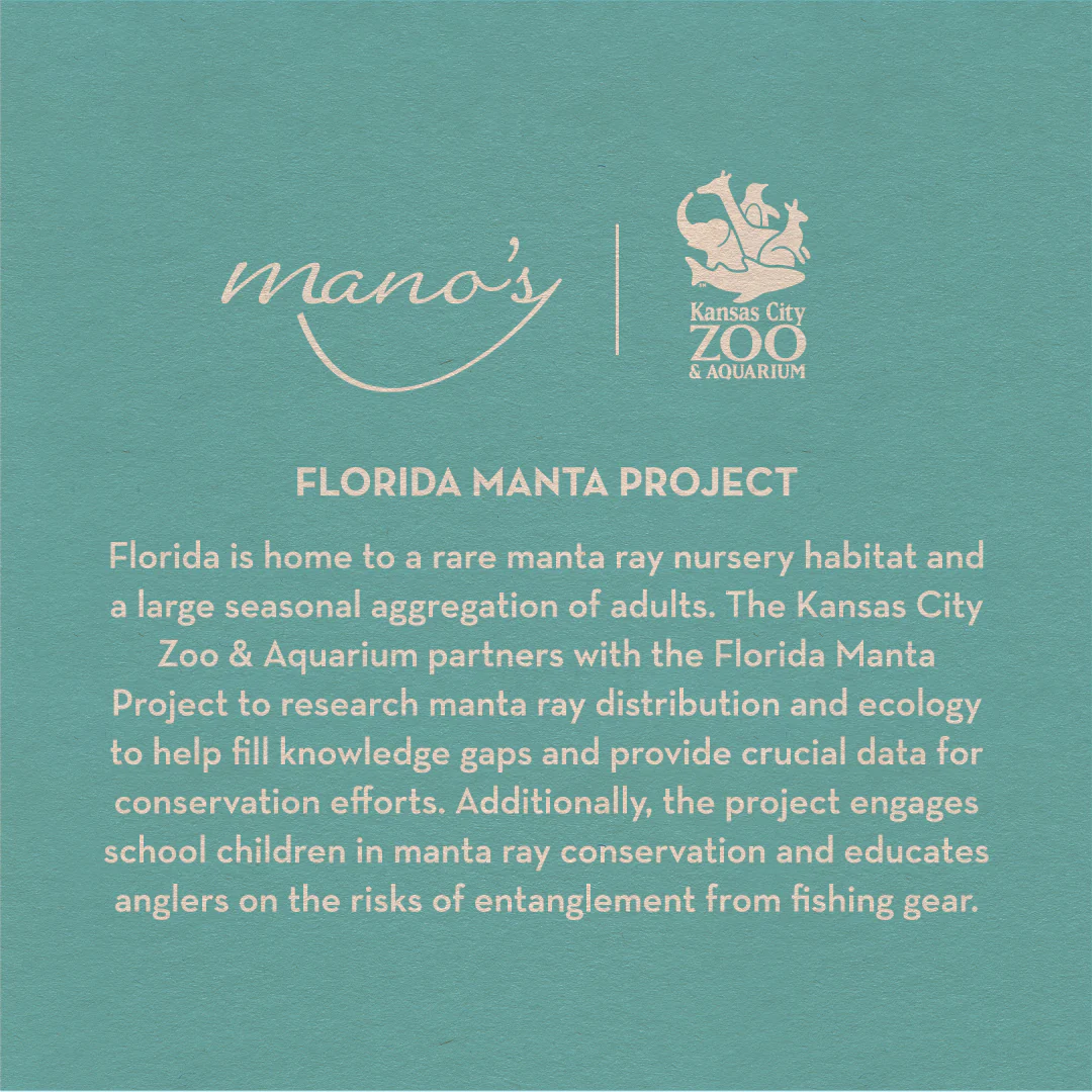 Manta Ray Etched Cabernet Sauvignon - Image 2