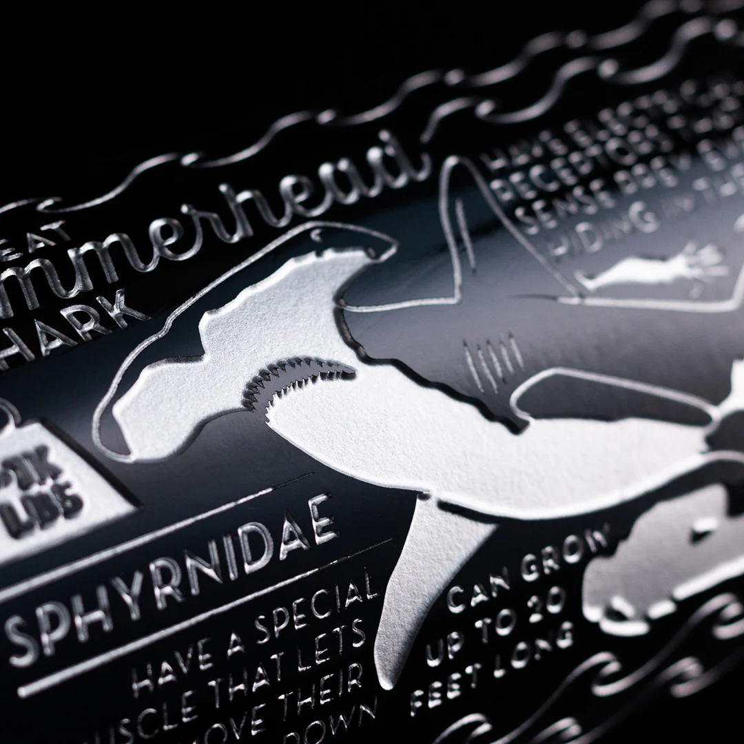 Shark Facts Collectors Pack - Image 11